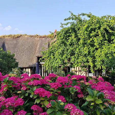 La Maraiquaise Villa Marais-Vernier Exterior photo